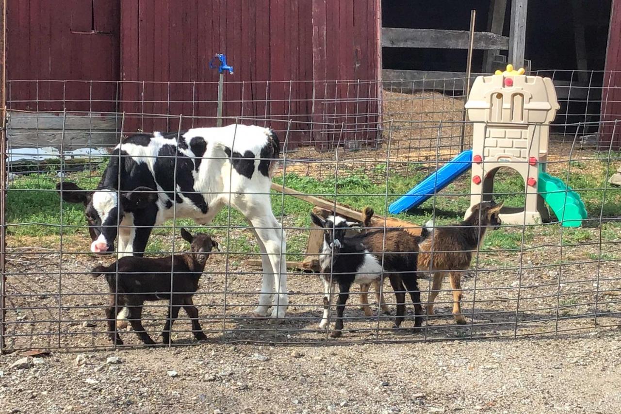 Cozy Goshen Studio Unique Farm Stay! Exterior photo